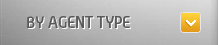 Agent Type